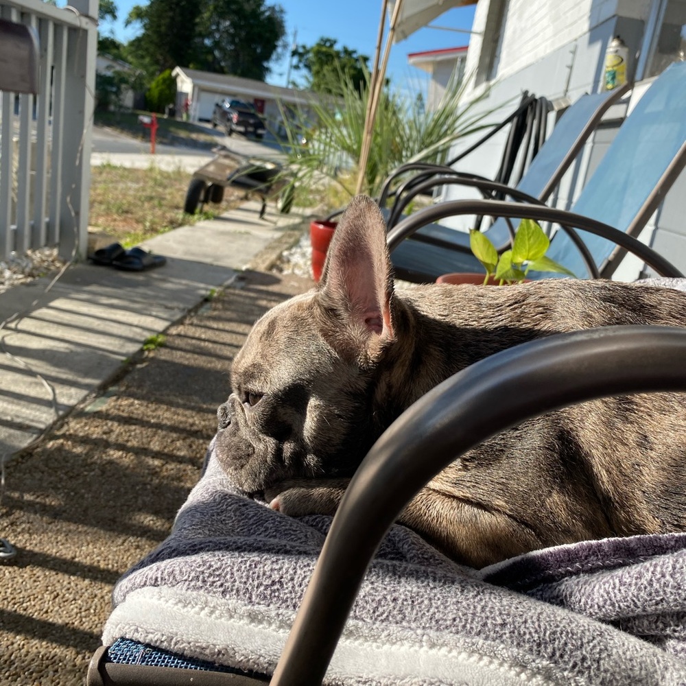 Meet your Posher, Ava